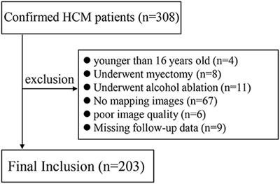 Incremental Values of T1 Mapping in the Prediction of Sudden Cardiac Death Risk in Hypertrophic Cardiomyopathy: A Comparison With Two Guidelines